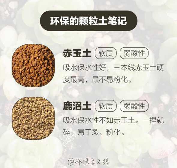 多肉植物的土怎么配制 多肉植物的培养土怎么配制