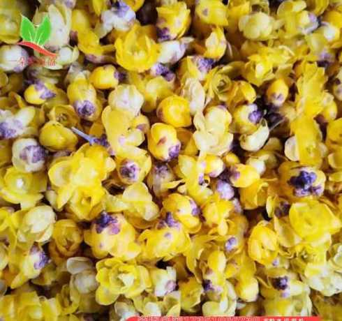 腊梅花现在市场价多少 有青色腊梅花吗它的药用价值怎样