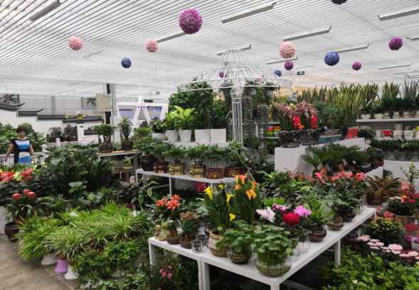 玉泉营鲜花市场怎么走 开花店需要学什么