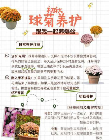 秋天怎么养花又快又好 秋天养花什么时候浇水