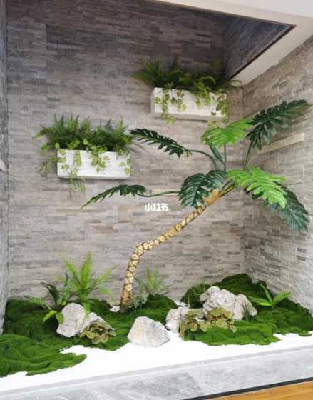 采光井一般用什么植物 树种在采光井里面影响风水吗