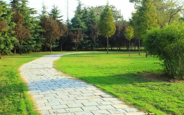 花园草坪种什么草好 草坪种植用什么草种好