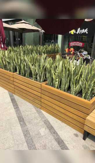 院子的花箱适合栽什么 阳台适合种什么水果