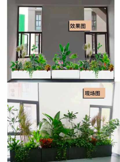成品花箱能种什么植物 花箱一般种植什么 花箱里适合种什么植物