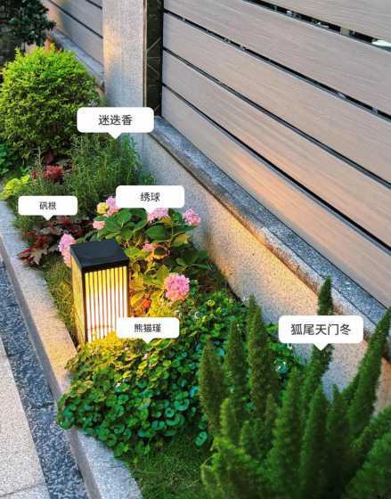 私家花园植物如何搭配 别墅花园种什么树好
