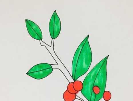 冬青树怎么画简单 简单的熊孩子简笔画带颜色怎么画