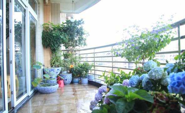 夏季盆栽放在什么地方 夏天适合养什么花在家里