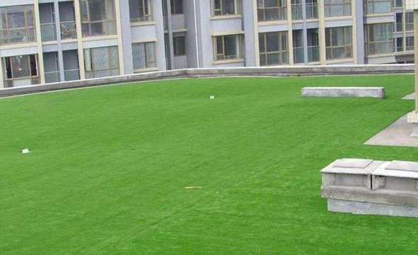 草坪适合什么温度种植 夏天适合种植草坪种子么