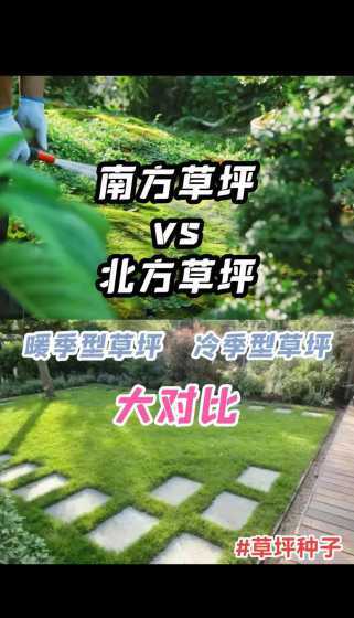 冷季型草坪是什么意思 冷季型草坪草该如何进行修剪