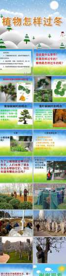 室外植物是怎么过冬的 植物是怎么过冬的