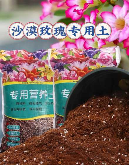 沙漠玫瑰要种用什么土 沙漠玫瑰种植什么土壤最好