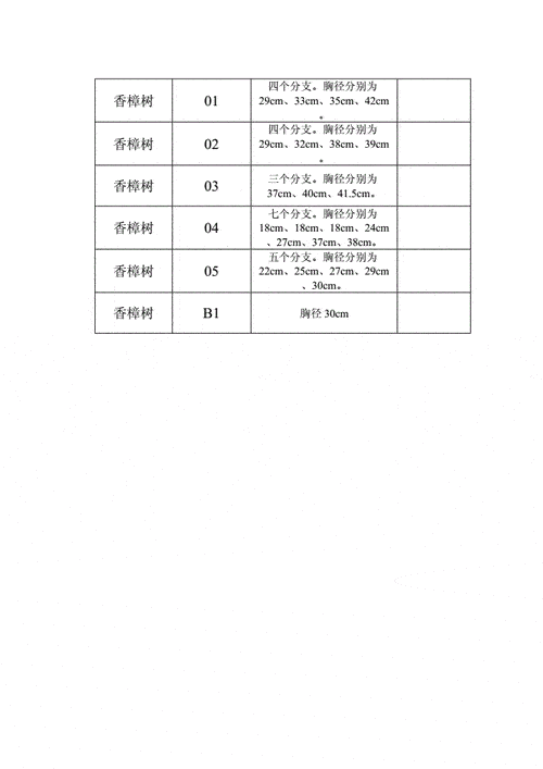 2公分的香樟树什么价 15公分香樟树报价多少钱一棵