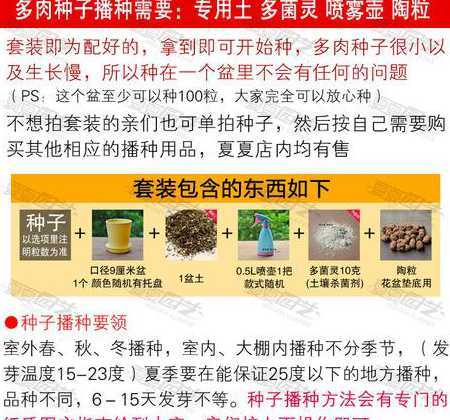山地玫瑰种子怎么种植 山地玫瑰开花后会结种子吗 多肉山地玫瑰怎么繁殖