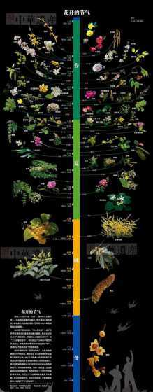 什么时候是种花的季节 一天什么时候种花最好