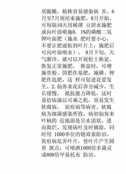 夏天的仙客来怎么养护 仙客来夏天怎么养