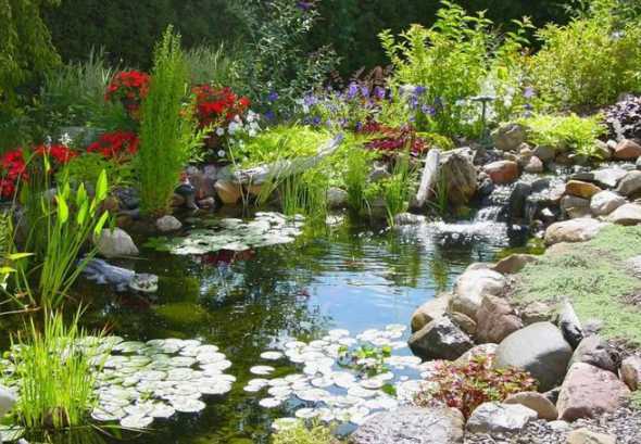 花园水景如何避免蚊虫 想在花园里布置水景,有建议吗