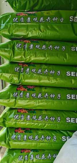 野花组合用什么土播种 当前春天种什么草坪好