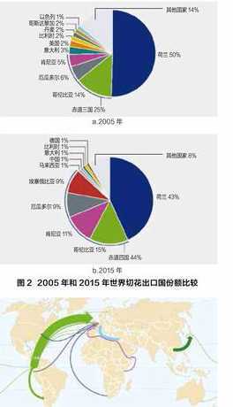 2024年全球花卉行业 2024年冷门暴利的创业好项目有哪些