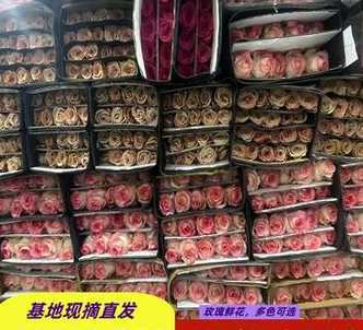 昆明婚礼花卉价格 到昆明世博园中国馆参加婚礼要门票吗