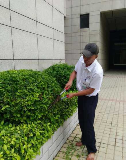 喜欢修剪花草是什么专业 修剪花草的人叫什么