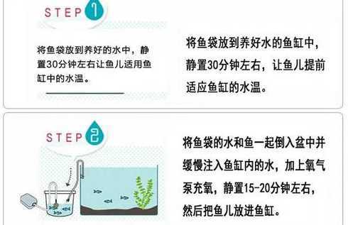 如何保持鱼池水质清澈 如何改变鱼池中的水质