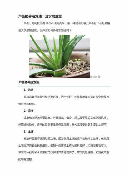 室内芦荟植物怎么种植 芦荟怎么种
