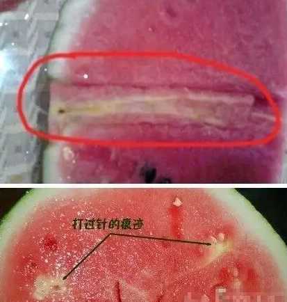 西瓜籽怎么变成西瓜的 西瓜籽可以种出西瓜吗