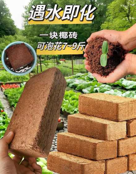 椰糠土可以养什么植物 椰糠土适合种什么植物