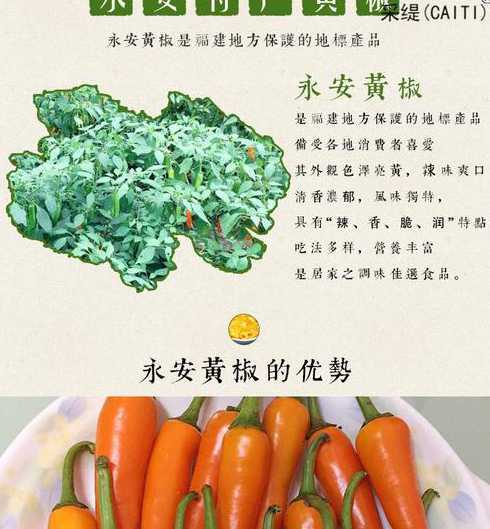 黄椒对身体有什么好处 哪些食物吃了对眼睛好