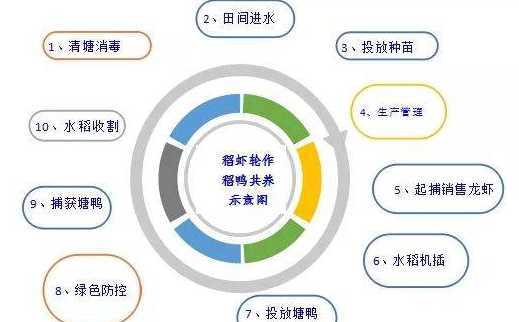 种什么经济效益快一点 农村种植什么经济作物可以有更好收益