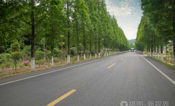 高速路边一般种什么树 高速公路上一般都种植什么类型的花草树木的
