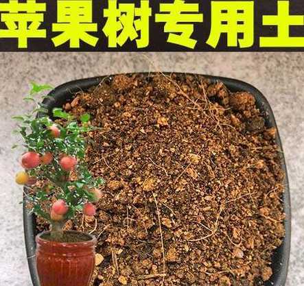 种植盆栽果树用什么土 盆栽果树用什么土最好