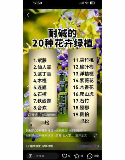 北方养花酸性土壤怎么 养花酸性土壤怎么弄(让土壤变成酸性土的方法)