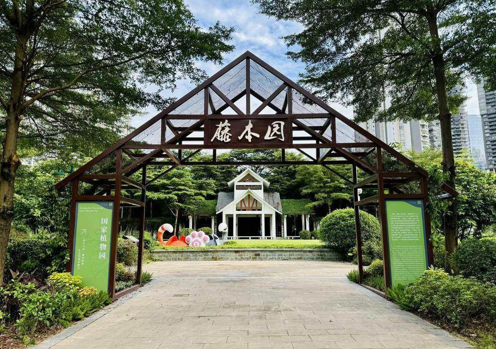 多肉叶子上有很多小多肉是什么品种 小多肉品种图片