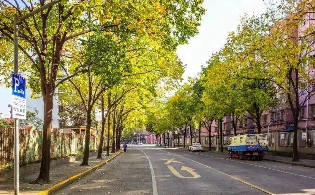 兰花摆放在家里什么位置好 买回来的温室兰花怎么养