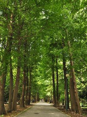 景观模型图片 景观桥效果图