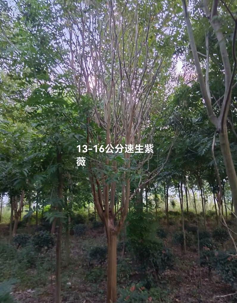 安徽绿荣亭园林景观建设有限公司 园林景观设计作品集