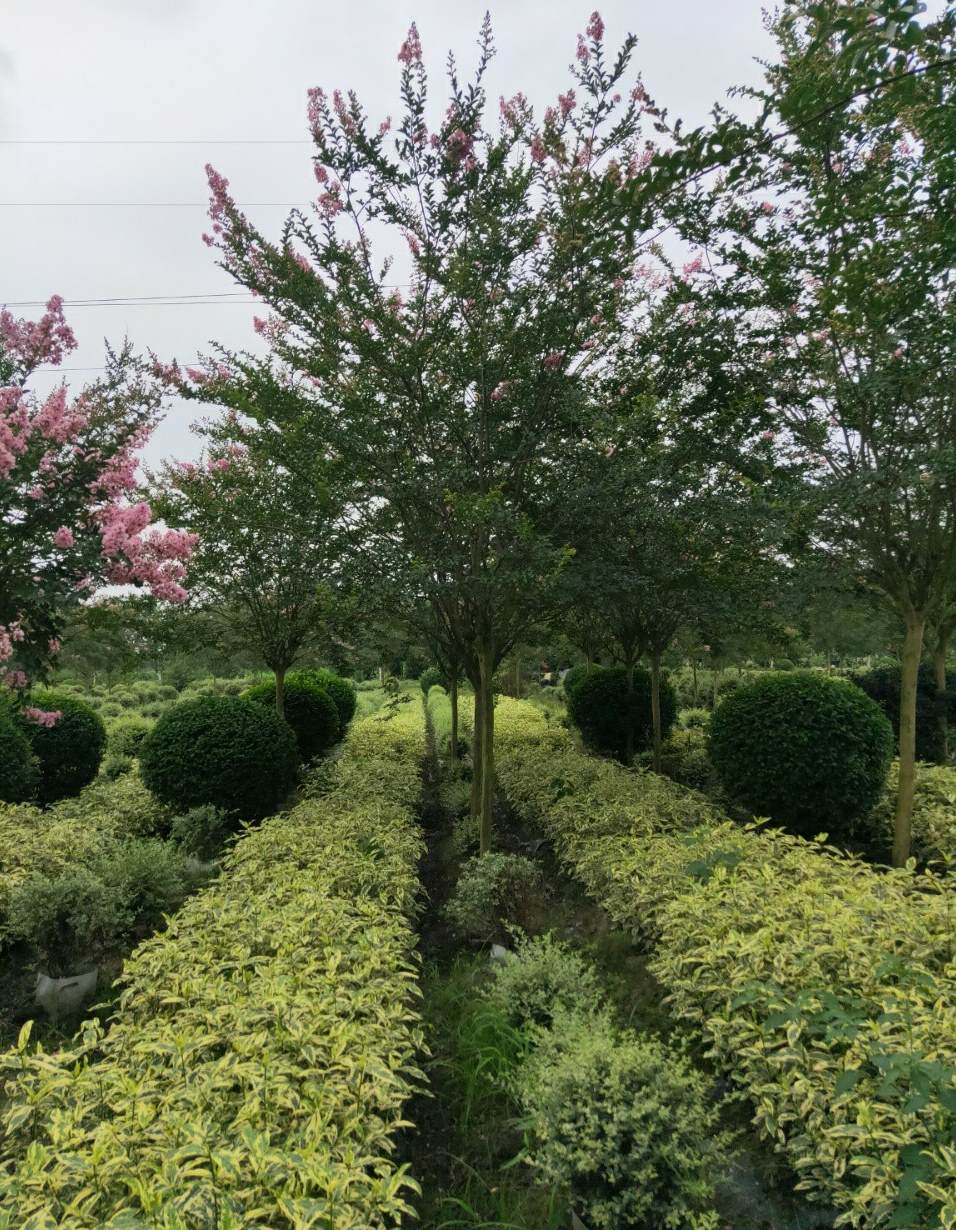 成都翰景景观设计有限公司 成都楼盘景观设计公司